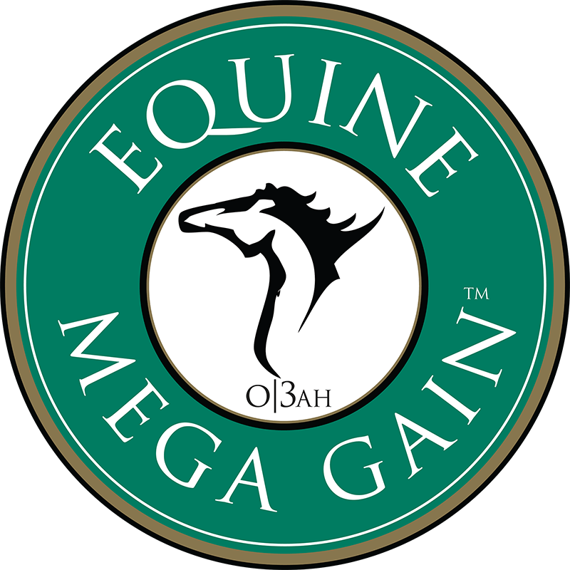 Equine mega gain logo