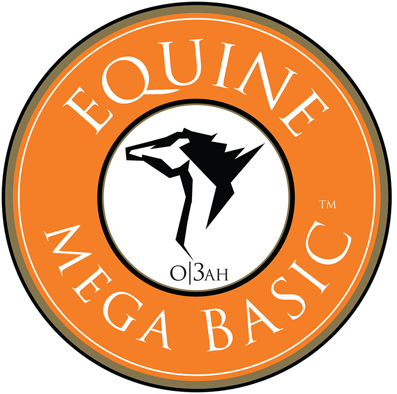 equine mega basic logo